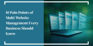 Hammersmith Support | 10 Pain Points of Multi-Website Management Every Business Should Know
